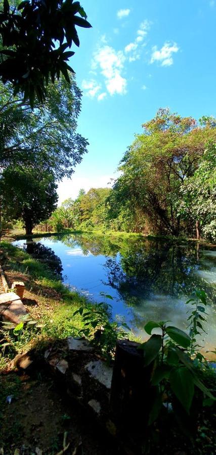 Chacara Bica Dagua Βίλα Pirenópolis Εξωτερικό φωτογραφία